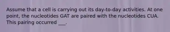 Assume that a cell is carrying out its day-to-day activities. At one point, the nucleotides GAT are paired with the nucleotides CUA. This pairing occurred ___.