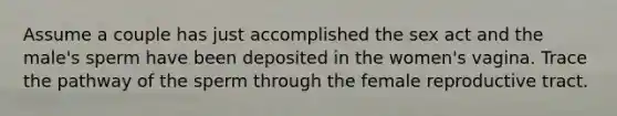 Assume a couple has just accomplished the sex act and the male's sperm have been deposited in the women's vagina. Trace the pathway of the sperm through the female reproductive tract.