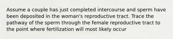 Assume a couple has just completed intercourse and sperm have been deposited in the woman's reproductive tract. Trace the pathway of the sperm through the female reproductive tract to the point where fertilization will most likely occur