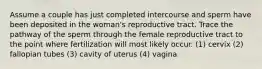 Assume a couple has just completed intercourse and sperm have been deposited in the woman's reproductive tract. Trace the pathway of the sperm through the female reproductive tract to the point where fertilization will most likely occur. (1) cervix (2) fallopian tubes (3) cavity of uterus (4) vagina