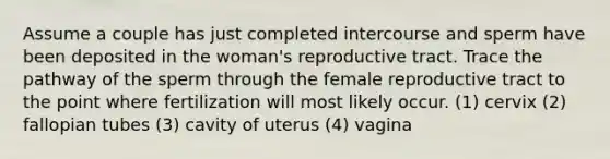 Assume a couple has just completed intercourse and sperm have been deposited in the woman's reproductive tract. Trace the pathway of the sperm through the female reproductive tract to the point where fertilization will most likely occur. (1) cervix (2) fallopian tubes (3) cavity of uterus (4) vagina