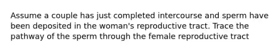 Assume a couple has just completed intercourse and sperm have been deposited in the woman's reproductive tract. Trace the pathway of the sperm through the female reproductive tract