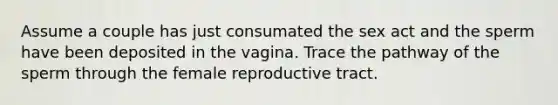 Assume a couple has just consumated the sex act and the sperm have been deposited in the vagina. Trace the pathway of the sperm through the female reproductive tract.