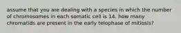 assume that you are dealing with a species in which the number of chromosomes in each somatic cell is 14. how many chromatids are present in the early telophase of mitiosis?