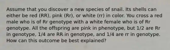 Assume that you discover a new species of snail. Its shells can either be red (RR), pink (Rr), or white (rr) in color. You cross a red male who is of Rr genotype with a white female who is of Rr genotype. All the offspring are pink in phenotype, but 1/2 are Rr in genotype, 1/4 are RR in genotype, and 1/4 are rr in genotype. How can this outcome be best explained?