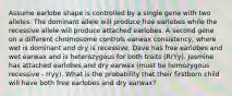 Assume earlobe shape is controlled by a single gene with two alleles. The dominant allele will produce free earlobes while the recessive allele will produce attached earlobes. A second gene on a different chromosome controls earwax consistency, where wet is dominant and dry is recessive. Dave has free earlobes and wet earwax and is heterozygous for both traits (RrYy). Jasmine has attached earlobes and dry earwax (must be homozygous recessive - rryy). What is the probability that their firstborn child will have both free earlobes and dry earwax?