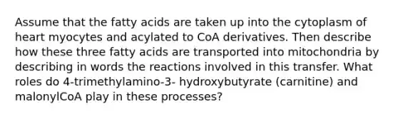 Assume that the fatty acids are taken up into the cytoplasm of heart myocytes and acylated to CoA derivatives. Then describe how these three fatty acids are transported into mitochondria by describing in words the reactions involved in this transfer. What roles do 4-trimethylamino-3- hydroxybutyrate (carnitine) and malonylCoA play in these processes?