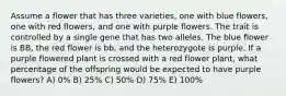 Assume a flower that has three varieties, one with blue flowers, one with red flowers, and one with purple flowers. The trait is controlled by a single gene that has two alleles. The blue flower is BB, the red flower is bb, and the heterozygote is purple. If a purple flowered plant is crossed with a red flower plant, what percentage of the offspring would be expected to have purple flowers? A) 0% B) 25% C) 50% D) 75% E) 100%