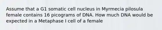 Assume that a G1 somatic cell nucleus in Myrmecia pilosula female contains 16 picograms of DNA. How much DNA would be expected in a Metaphase I cell of a female