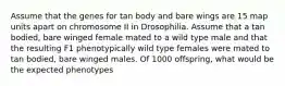 Assume that the genes for tan body and bare wings are 15 map units apart on chromosome II in Drosophilia. Assume that a tan bodied, bare winged female mated to a wild type male and that the resulting F1 phenotypically wild type females were mated to tan bodied, bare winged males. Of 1000 offspring, what would be the expected phenotypes