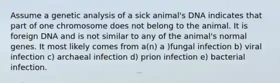 Assume a genetic analysis of a sick animal's DNA indicates that part of one chromosome does not belong to the animal. It is foreign DNA and is not similar to any of the animal's normal genes. It most likely comes from a(n) a )fungal infection b) viral infection c) archaeal infection d) prion infection e) bacterial infection.