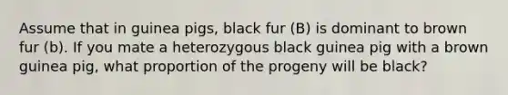 Assume that in guinea pigs, black fur (B) is dominant to brown fur (b). If you mate a heterozygous black guinea pig with a brown guinea pig, what proportion of the progeny will be black?