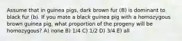 Assume that in guinea pigs, dark brown fur (B) is dominant to black fur (b). If you mate a black guinea pig with a homozygous brown guinea pig, what proportion of the progeny will be homozygous? A) none B) 1/4 C) 1/2 D) 3/4 E) all