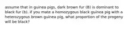 assume that in guinea pigs, dark brown fur (B) is dominant to black fur (b). if you mate a homozygous black guinea pig with a heterozygous brown guinea pig, what proportion of the progeny will be black?