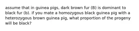 assume that in guinea pigs, dark brown fur (B) is dominant to black fur (b). if you mate a homozygous black guinea pig with a heterozygous brown guinea pig, what proportion of the progeny will be black?