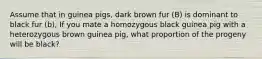 Assume that in guinea pigs, dark brown fur (B) is dominant to black fur (b), If you mate a homozygous black guinea pig with a heterozygous brown guinea pig, what proportion of the progeny will be black?