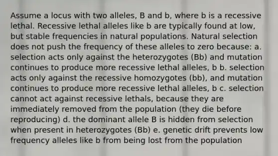 Assume a locus with two alleles, B and b, where b is a recessive lethal. Recessive lethal alleles like b are typically found at low, but stable frequencies in natural populations. Natural selection does not push the frequency of these alleles to zero because: a. selection acts only against the heterozygotes (Bb) and mutation continues to produce more recessive lethal alleles, b b. selection acts only against the recessive homozygotes (bb), and mutation continues to produce more recessive lethal alleles, b c. selection cannot act against recessive lethals, because they are immediately removed from the population (they die before reproducing) d. the dominant allele B is hidden from selection when present in heterozygotes (Bb) e. genetic drift prevents low frequency alleles like b from being lost from the population