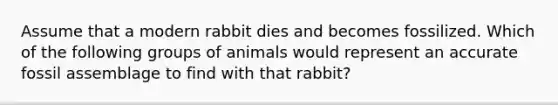 Assume that a modern rabbit dies and becomes fossilized. Which of the following groups of animals would represent an accurate fossil assemblage to find with that rabbit?