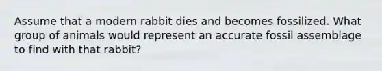 Assume that a modern rabbit dies and becomes fossilized. What group of animals would represent an accurate fossil assemblage to find with that rabbit?