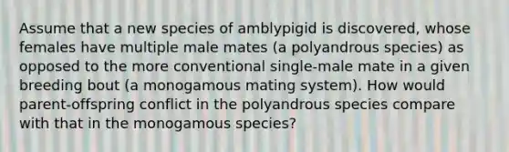 Assume that a new species of amblypigid is discovered, whose females have multiple male mates (a polyandrous species) as opposed to the more conventional single-male mate in a given breeding bout (a monogamous mating system). How would parent-offspring conflict in the polyandrous species compare with that in the monogamous species?