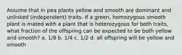 Assume that in pea plants yellow and smooth are dominant and unlinked (independent) traits. If a green, homozygous smooth plant is mated with a plant that is heterozygous for both traits, what fraction of the offspring can be expected to be both yellow and smooth? a. 1/8 b. 1/4 c. 1/2 d. all offspring will be yellow and smooth