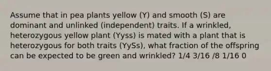 Assume that in pea plants yellow (Y) and smooth (S) are dominant and unlinked (independent) traits. If a wrinkled, heterozygous yellow plant (Yyss) is mated with a plant that is heterozygous for both traits (YySs), what fraction of the offspring can be expected to be green and wrinkled? 1/4 3/16 /8 1/16 0