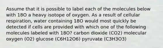 Assume that it is possible to label each of the molecules below with 18O a heavy isotope of oxygen. As a result of cellular respiration, water containing 18O would most quickly be detected if cells are provided with which one of the following molecules labeled with 18O? carbon dioxide (CO2) molecular oxygen (O2) glucose (C6H12O6) pyruvate (C3H3O3)