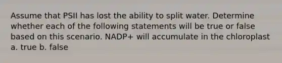 Assume that PSII has lost the ability to split water. Determine whether each of the following statements will be true or false based on this scenario. NADP+ will accumulate in the chloroplast a. true b. false