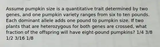 Assume pumpkin size is a quantitative trait determined by two genes, and one pumpkin variety ranges from six to ten pounds. Each dominant allele adds one pound to pumpkin size. If two plants that are heterozygous for both genes are crossed, what fraction of the offspring will have eight-pound pumpkins? 1/4 3/8 1/2 3/16 1/8