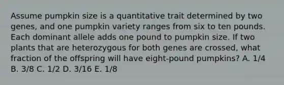 Assume pumpkin size is a quantitative trait determined by two genes, and one pumpkin variety ranges from six to ten pounds. Each dominant allele adds one pound to pumpkin size. If two plants that are heterozygous for both genes are crossed, what fraction of the offspring will have eight-pound pumpkins? A. 1/4 B. 3/8 C. 1/2 D. 3/16 E. 1/8