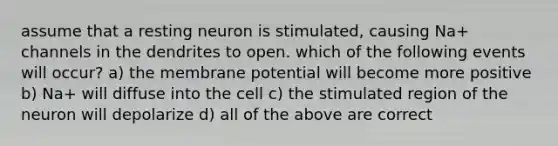 assume that a resting neuron is stimulated, causing Na+ channels in the dendrites to open. which of the following events will occur? a) the membrane potential will become more positive b) Na+ will diffuse into the cell c) the stimulated region of the neuron will depolarize d) all of the above are correct