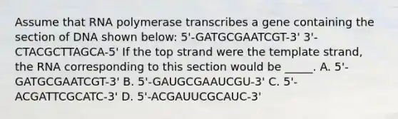 Assume that RNA polymerase transcribes a gene containing the section of DNA shown below: 5'-GATGCGAATCGT-3' 3'-CTACGCTTAGCA-5' If the top strand were the template strand, the RNA corresponding to this section would be _____. A. 5'-GATGCGAATCGT-3' B. 5'-GAUGCGAAUCGU-3' C. 5'-ACGATTCGCATC-3' D. 5'-ACGAUUCGCAUC-3'