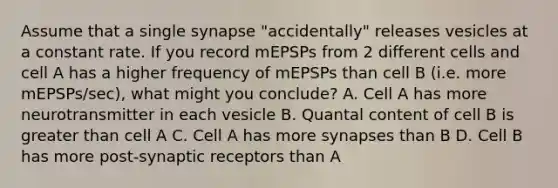 Assume that a single synapse "accidentally" releases vesicles at a constant rate. If you record mEPSPs from 2 different cells and cell A has a higher frequency of mEPSPs than cell B (i.e. more mEPSPs/sec), what might you conclude? A. Cell A has more neurotransmitter in each vesicle B. Quantal content of cell B is greater than cell A C. Cell A has more synapses than B D. Cell B has more post-synaptic receptors than A