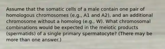 Assume that the somatic cells of a male contain one pair of homologous chromosomes (e.g., A1 and A2), and an additional chromosome without a homolog (e.g., W). What chromosomal combinations would be expected in the meiotic products (spermatids) of a single primary spermatocyte? (There may be more than one answer.)