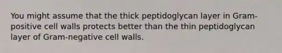 You might assume that the thick peptidoglycan layer in Gram-positive cell walls protects better than the thin peptidoglycan layer of Gram-negative cell walls.