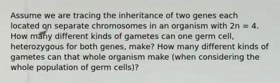 Assume we are tracing the inheritance of two genes each located on separate chromosomes in an organism with 2n = 4. How many different kinds of gametes can one germ cell, heterozygous for both genes, make? How many different kinds of gametes can that whole organism make (when considering the whole population of germ cells)?