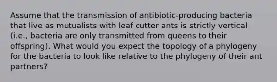 Assume that the transmission of antibiotic-producing bacteria that live as mutualists with leaf cutter ants is strictly vertical (i.e., bacteria are only transmitted from queens to their offspring). What would you expect the topology of a phylogeny for the bacteria to look like relative to the phylogeny of their ant partners?