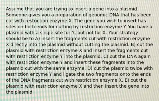 Assume that you are trying to insert a gene into a plasmid. Someone gives you a preparation of genomic DNA that has been cut with restriction enzyme X. The gene you wish to insert has sites on both ends for cutting by restriction enzyme Y. You have a plasmid with a single site for Y, but not for X. Your strategy should be to A) insert the fragments cut with restriction enzyme X directly into the plasmid without cutting the plasmid. B) cut the plasmid with restriction enzyme X and insert the fragments cut with restriction enzyme Y into the plasmid. C) cut the DNA again with restriction enzyme Y and insert these fragments into the plasmid cut with the same enzyme. D) cut the plasmid twice with restriction enzyme Y and ligate the two fragments onto the ends of the DNA fragments cut with restriction enzyme X. E) cut the plasmid with restriction enzyme X and then insert the gene into the plasmid