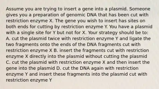 Assume you are trying to insert a gene into a plasmid. Someone gives you a preparation of genomic DNA that has been cut with restriction enzyme X. The gene you wish to insert has sites on both ends for cutting by restriction enzyme Y. You have a plasmid with a single site for Y but not for X. Your strategy should be to: A. cut the plasmid twice with restriction enzyme Y and ligate the two fragments onto the ends of the DNA fragments cut with restriction enzyme X B. insert the fragments cut with restriction enzyme X directly into the plasmid without cutting the plasmid C. cut the plasmid with restriction enzyme X and then insert the gene into the plasmid D. cut the DNA again with restriction enzyme Y and insert these fragments into the plasmid cut with restriction enzyme Y