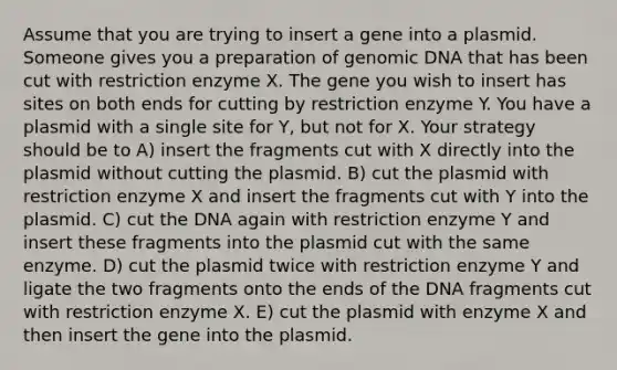 Assume that you are trying to insert a gene into a plasmid. Someone gives you a preparation of genomic DNA that has been cut with restriction enzyme X. The gene you wish to insert has sites on both ends for cutting by restriction enzyme Y. You have a plasmid with a single site for Y, but not for X. Your strategy should be to A) insert the fragments cut with X directly into the plasmid without cutting the plasmid. B) cut the plasmid with restriction enzyme X and insert the fragments cut with Y into the plasmid. C) cut the DNA again with restriction enzyme Y and insert these fragments into the plasmid cut with the same enzyme. D) cut the plasmid twice with restriction enzyme Y and ligate the two fragments onto the ends of the DNA fragments cut with restriction enzyme X. E) cut the plasmid with enzyme X and then insert the gene into the plasmid.