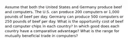 Assume that both the United States and Germany produce beef and computers. The U.S. can produce 200 computers or 1,000 pounds of beef per day. Germany can produce 500 computers or 250 pounds of beef per day. What is the opportunity cost of beef and computer chips in each country? In which good does each country have a comparative advantage? What is the range for mutually beneficial trade in computers?