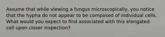 Assume that while viewing a fungus microscopically, you notice that the hypha do not appear to be composed of individual cells. What would you expect to find associated with this elongated cell upon closer inspection?