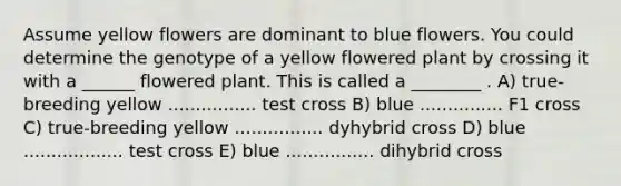 Assume yellow flowers are dominant to blue flowers. You could determine the genotype of a yellow flowered plant by crossing it with a ______ flowered plant. This is called a ________ . A) true-breeding yellow ................ test cross B) blue ............... F1 cross C) true-breeding yellow ................ dyhybrid cross D) blue .................. test cross E) blue ................ dihybrid cross