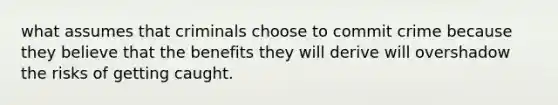 what assumes that criminals choose to commit crime because they believe that the benefits they will derive will overshadow the risks of getting caught.