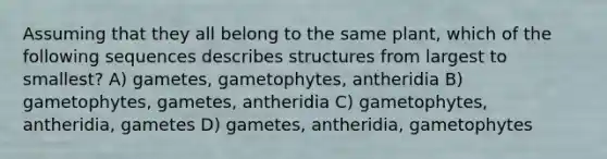 Assuming that they all belong to the same plant, which of the following sequences describes structures from largest to smallest? A) gametes, gametophytes, antheridia B) gametophytes, gametes, antheridia C) gametophytes, antheridia, gametes D) gametes, antheridia, gametophytes