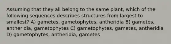 Assuming that they all belong to the same plant, which of the following sequences describes structures from largest to smallest? A) gametes, gametophytes, antheridia B) gametes, antheridia, gametophytes C) gametophytes, gametes, antheridia D) gametophytes, antheridia, gametes