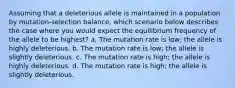 Assuming that a deleterious allele is maintained in a population by mutation-selection balance, which scenario below describes the case where you would expect the equilibrium frequency of the allele to be highest? a. The mutation rate is low; the allele is highly deleterious. b. The mutation rate is low; the allele is slightly deleterious. c. The mutation rate is high; the allele is highly deleterious. d. The mutation rate is high; the allele is slightly deleterious.