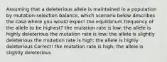 Assuming that a deleterious allele is maintained in a population by mutation-selection balance, which scenario below describes the case where you would expect the equilibrium frequency of the allele to be highest? the mutation rate is low; the allele is highly deleterious the mutation rate is low; the allele is slightly deleterious the mutation rate is high; the allele is highly deleterious Correct! the mutation rate is high; the allele is slightly deleterious