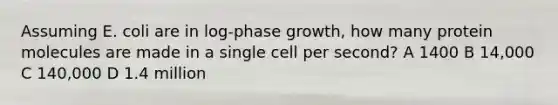 Assuming E. coli are in log-phase growth, how many protein molecules are made in a single cell per second? A 1400 B 14,000 C 140,000 D 1.4 million