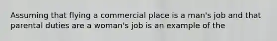 Assuming that flying a commercial place is a man's job and that parental duties are a woman's job is an example of the